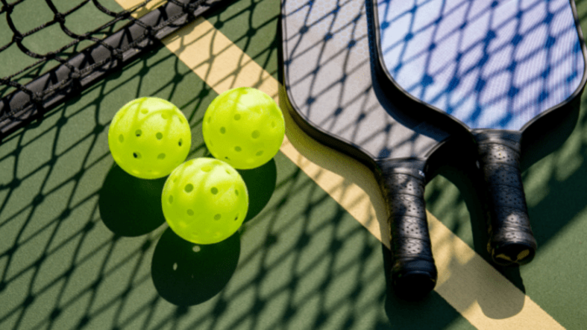 Arena Pickleball